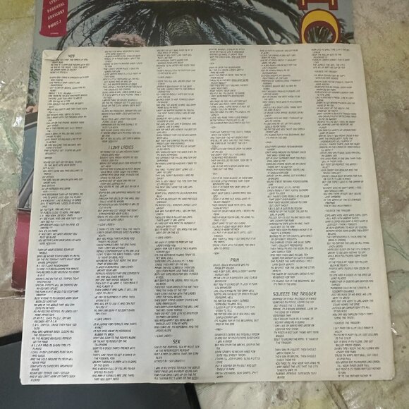 ICE-T Original Rhyme Pays + Ya Don't Quit Vinyl Record Album First Pressing Sire - Picture 3 of 8